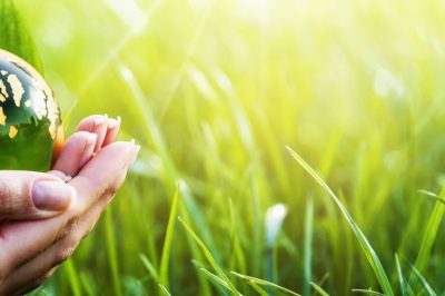 Environmental Liability Insurance