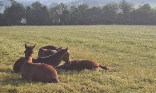 2343551852947058485573240726777997676981819n-w750