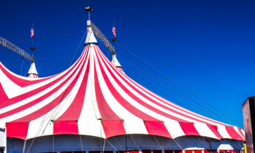 Face to Face 2 (600 x 800 px) (5)