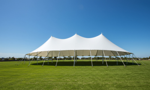 Face to Face 2 (600 x 800 px) (7)