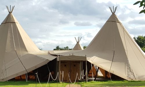 Tipi Insurance